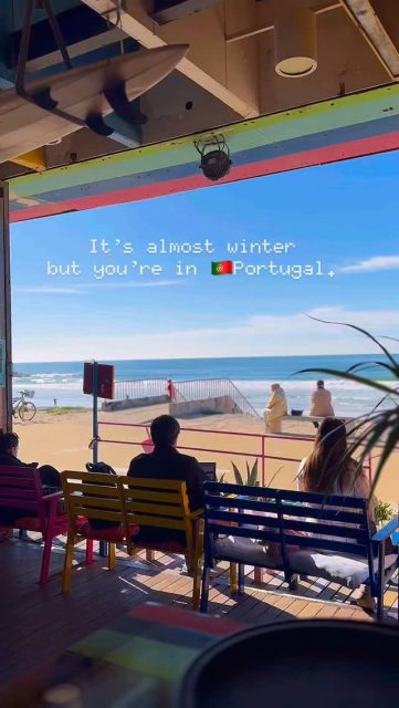 Sim, é dezembro. Sim, está sol. Sim, estamos em Portugal. ✨🌞