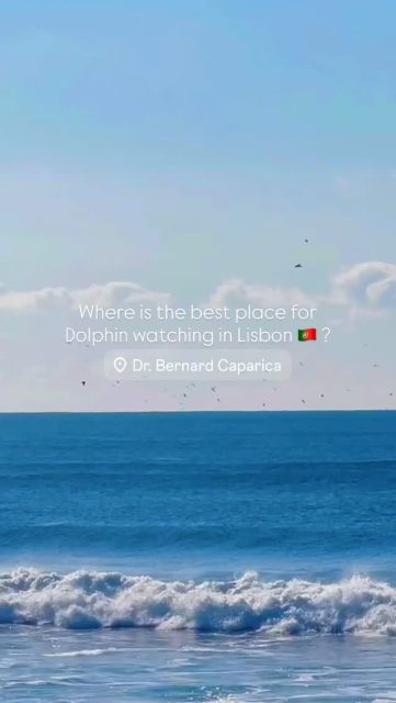 Are you looking for #dolphinwatching 🐬 in #lisbon 🇵🇹 ? Join us every day of the week for unforgettable moments at @drbernard.pt #costadacaparica : admire the ocean, the #dolphins, seabirds and other marine life.

📹 @carolpujol